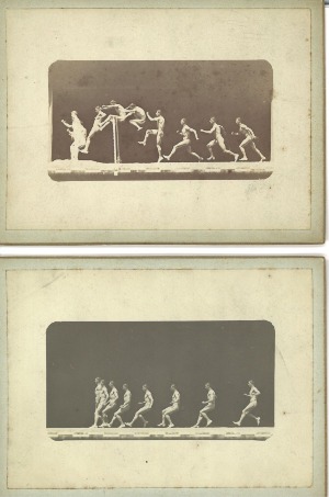 Ensemble de seize chronophotographies - Dans le goût de Etienne-Jules Marey